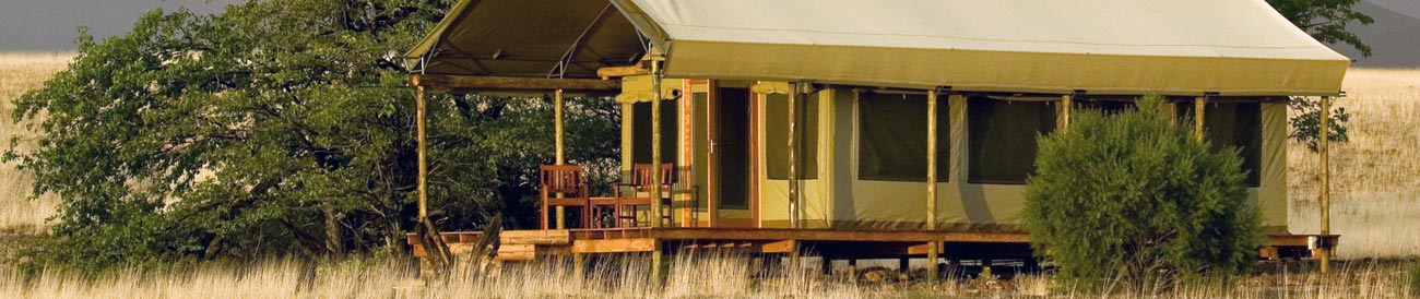 Desert Rhino Camp
